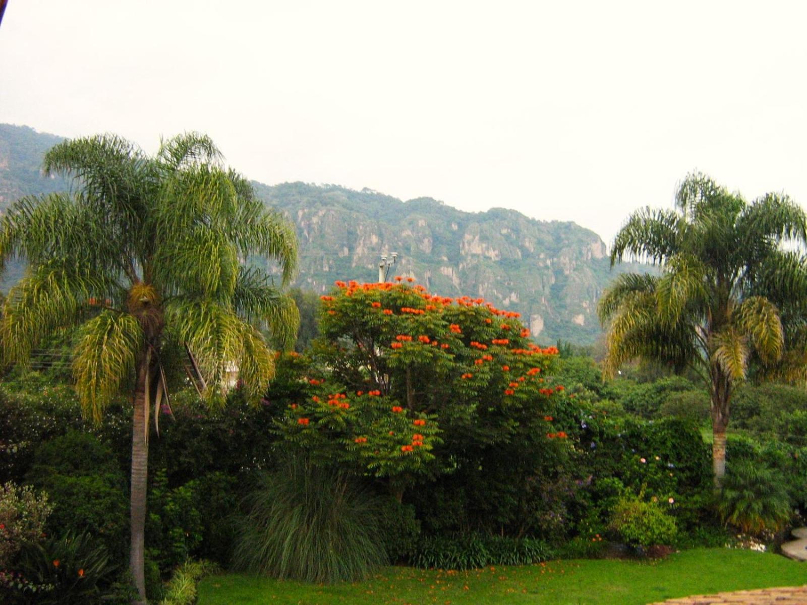 Arete (Adults Only) Hotel Tepoztlán Buitenkant foto